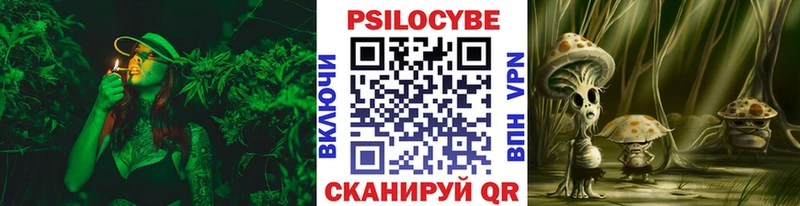 магазин Краснозаводск Псилоцибиновые грибы Cubensis